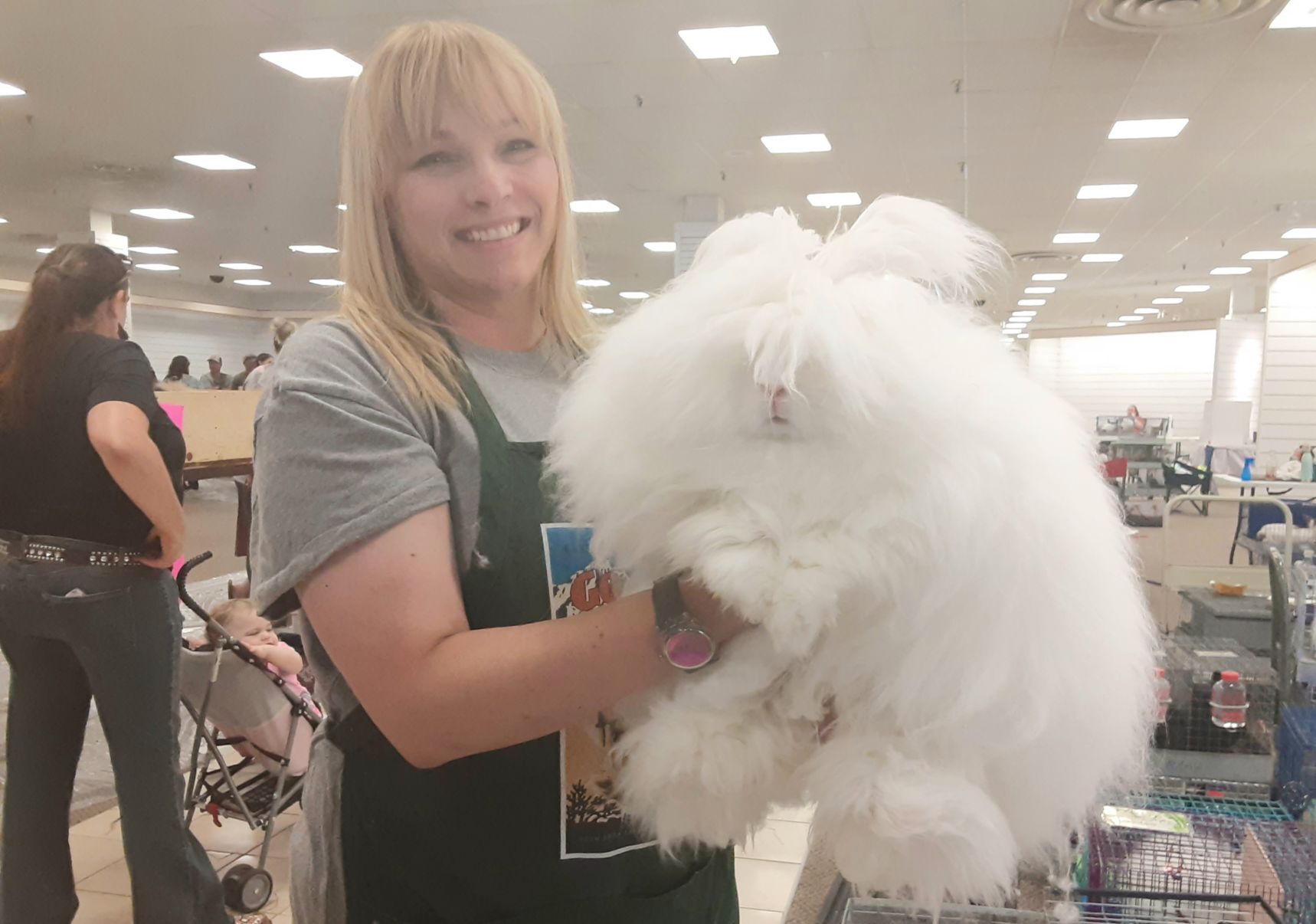 English angora rabbit